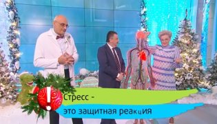 Здоровье от 24.12.2023 смотреть онлайн